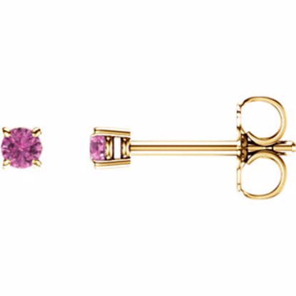 1874:70029:P 14kt Yellow 2.5mm Round Pink Sapphire Earrings