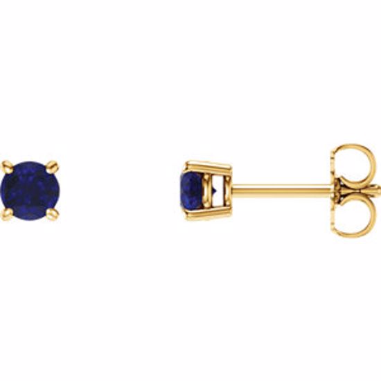 1874:70035:P 14kt Yellow 4mm Round Blue Sapphire Earrings