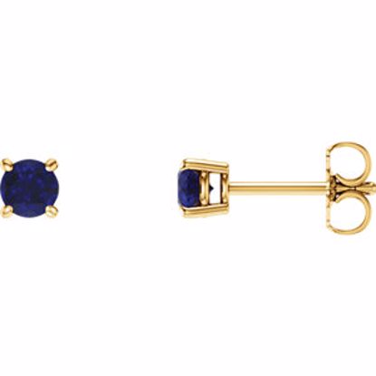 1874:70043:P 14kt Yellow 5mm Round Blue Sapphire Earrings