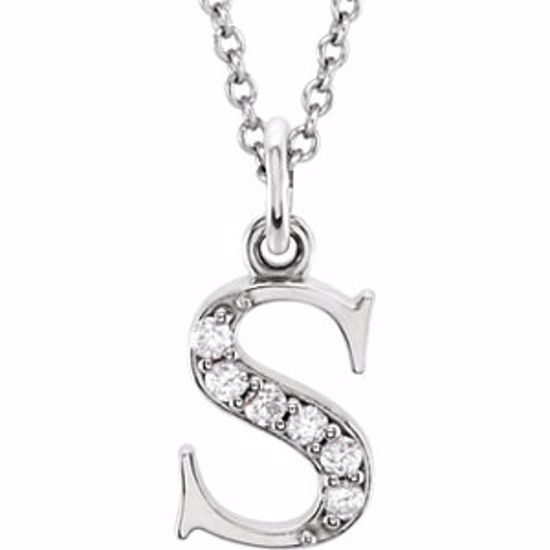 85803:60054:P 14kt White .03 CTW Diamond Lowercase Letter "s" Initial 16" Necklace