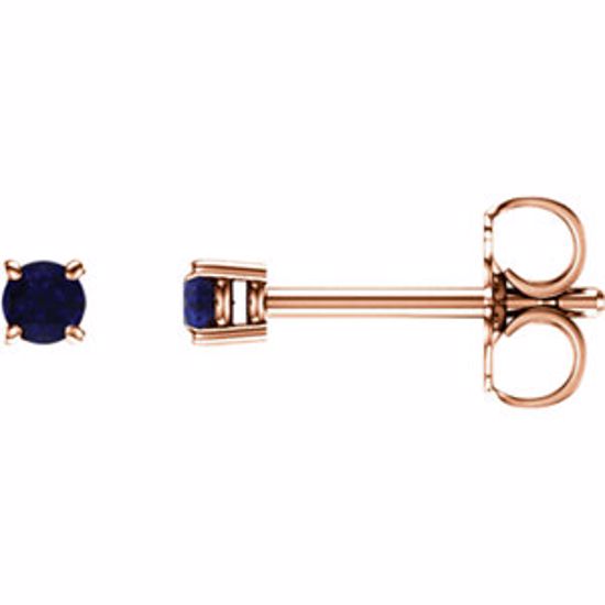 1874:70051:P 14kt Rose 2.5mm Round Blue Sapphire Earrings