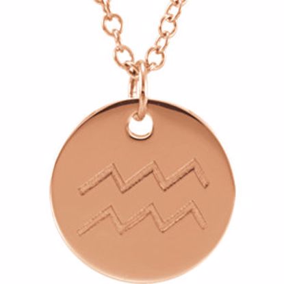 85856:1008:P 14kt Rose Aquarius Zodiac Necklace