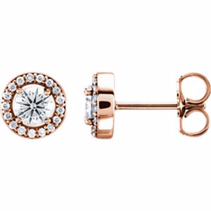 85912:102:P 14kt Rose 1/2 CTW Diamond Halo-Style Earrings