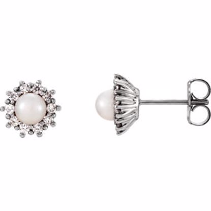 85950:105:P 14kt White Freshwater Cultured Pearl & 1/3 CTW Diamond Earrings