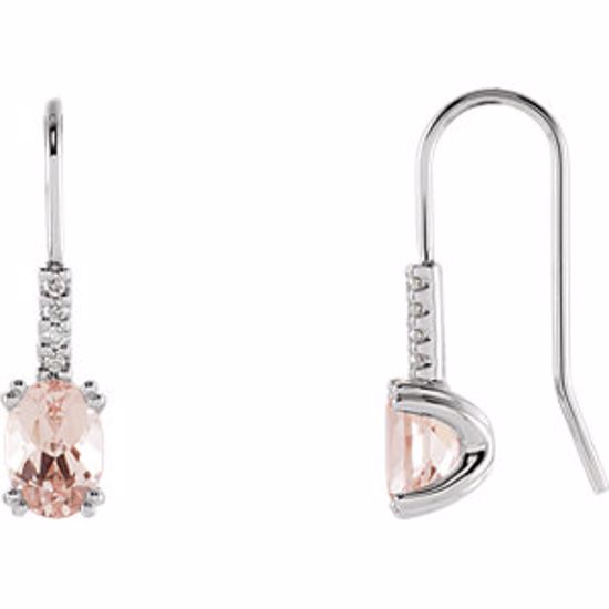 651506:100:P 14kt White Morganite & .05 CTW Diamond Earrings 