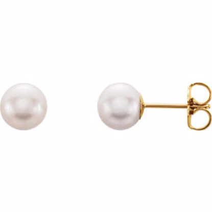 1608:103:P 14kt Yellow 6-6.5mm Freshwater Cultured Pearl Earrings