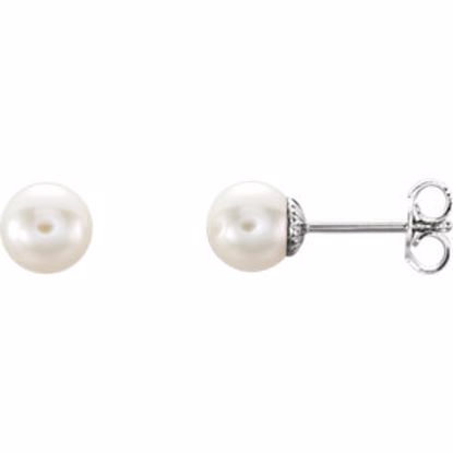 21372:104:P Sterling Silver 6-6.5mm Freshwater Cultured Pearl Earrings