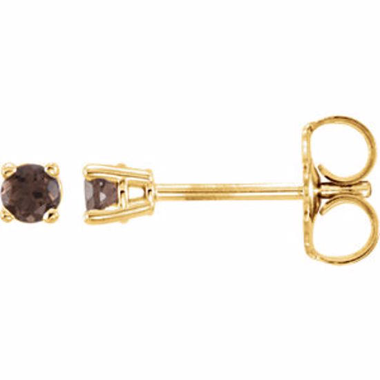 1874:70163:P 14kt Yellow 2.5mm Round Smoky Quartz Earrings