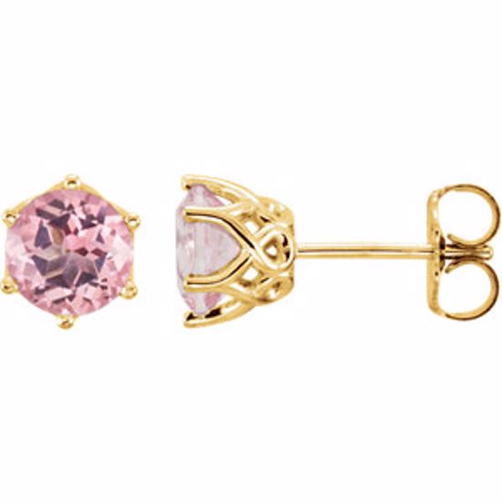 28808:70003:P 14kt Yellow 6mm Baby Pink Topaz Round Earrings