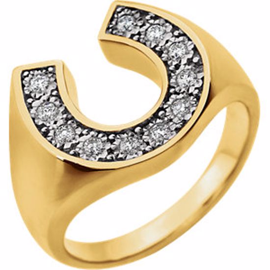 651623:60000:P 14kt Two-Tone 1/4 CTW Diamond Men's Ring
