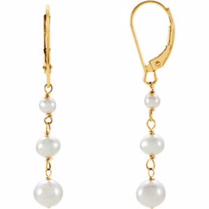 651653:100:P 14kt Yellow Freshwater Cultured Pearl Earrings