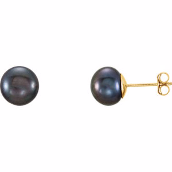 651659:109:P 14kt Yellow 7-8mm Black Freshwater Cultured Pearl l Earrings