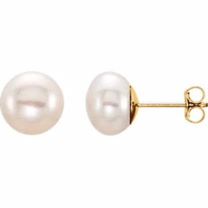 651659:112:P 14kt Yellow 8-9mm White Freshwater Cultured Pearl Earrings