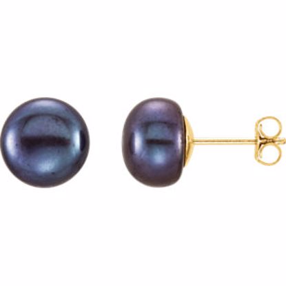 651659:113:P 14kt Yellow 8-9mm Black Freshwater Cultured Pearl Earrings