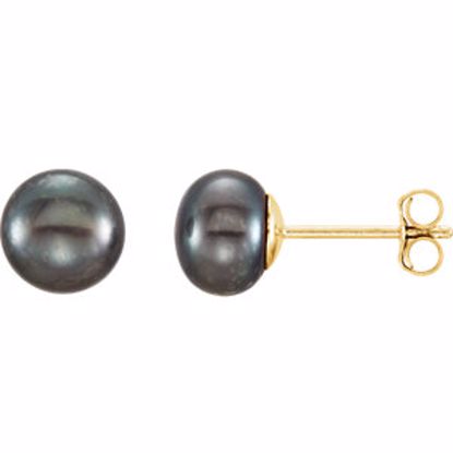 651659:105:P 14kt Yellow 6-7mm Black Freshwater Cultured Pearl Earrings