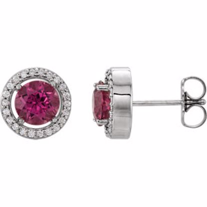 86069:113:P 14kt White Pink Tourmaline & 1/8 CTW Diamond Earrings