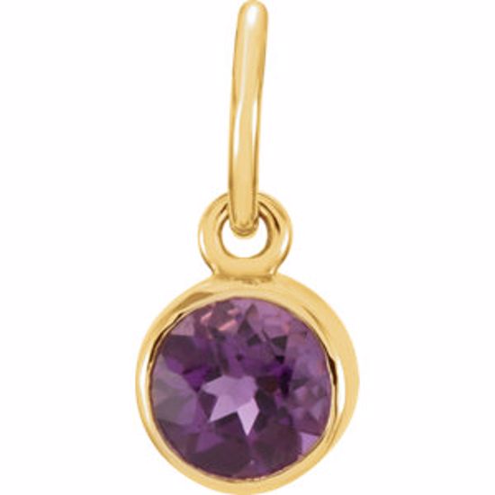 86179:104:P 14kt Yellow Imitation Amethyst Birthstone Charm