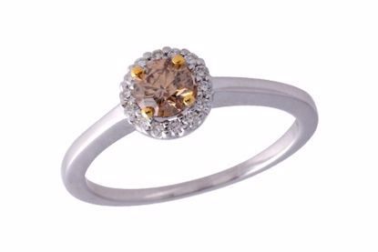 C239-43197_W C239-43197_W - 14KT Gold Ladies Diamond Ring