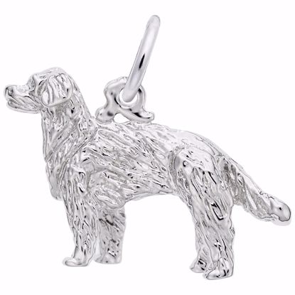 Picture of Golden Retriever Charm Pendant - Sterling Silver