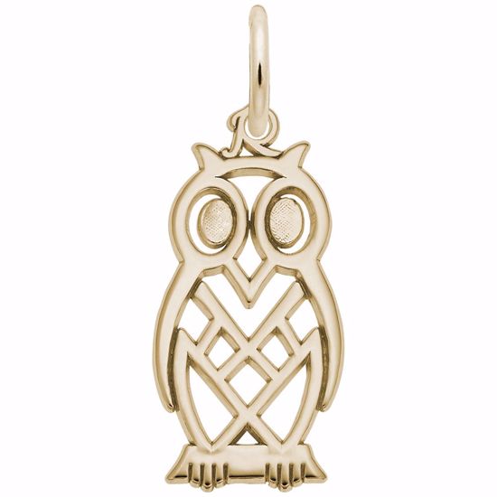 Picture of Owl Charm Pendant - 14K Gold