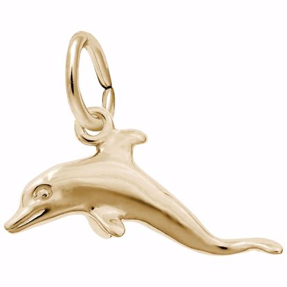 Picture of Dolphin Charm Pendant - 14K Gold