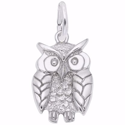 Picture of Wise Owl Charm Pendant - Sterling Silver