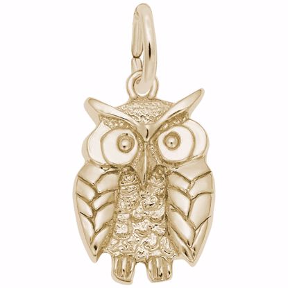 Picture of Wise Owl Charm Pendant - 14K Gold