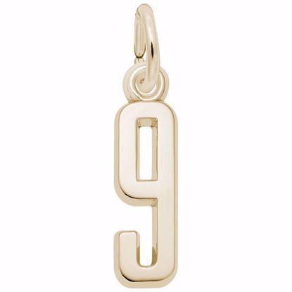 Picture of Number 9 Charm Pendant - 14K Gold