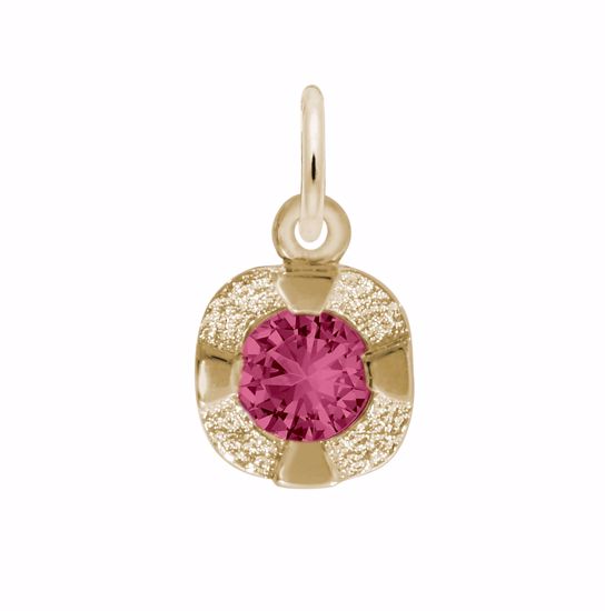 Picture of Petite Birthstone - Jan Charm Pendant - 14K Gold