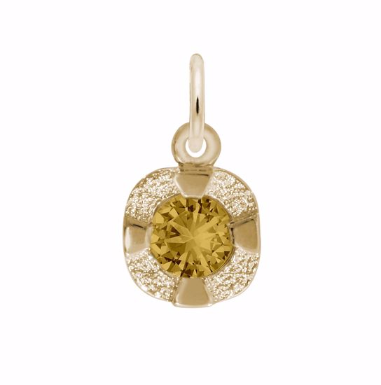 Picture of Petite Birthstone - Nov Charm Pendant - 14K Gold