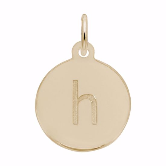 Picture of Petite Initial Disc - Lower Case Block H Charm Pendant - 14K Gold