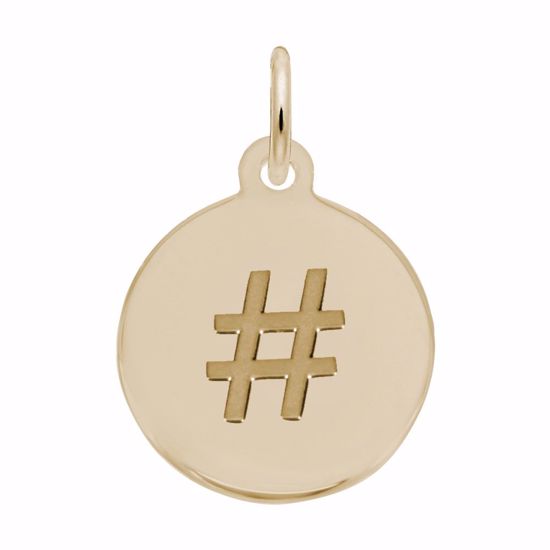 Picture of Petite Initial Disc - Hashtag/Pound Symbol Charm Pendant - 14K Gold