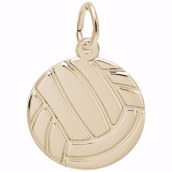 Picture of Volleyball Charm Pendant - 14K Gold