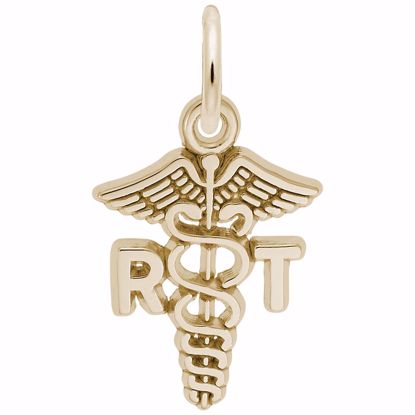 Picture of Rt Caduceus Charm Pendant - 14K Gold