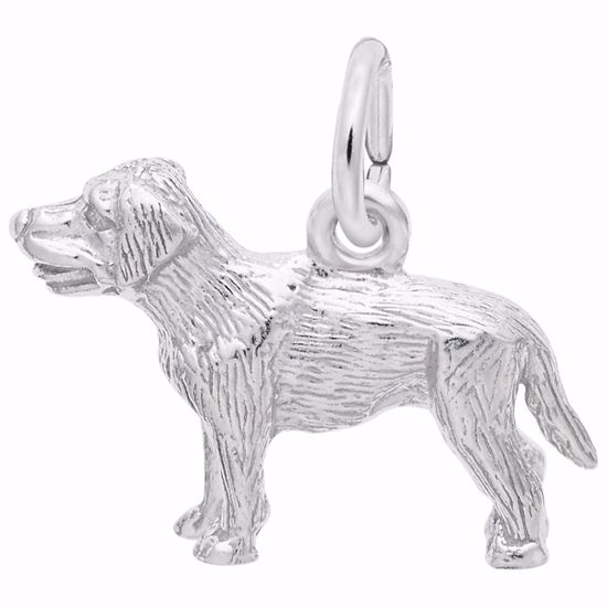 Picture of Labrador Charm Pendant - Sterling Silver