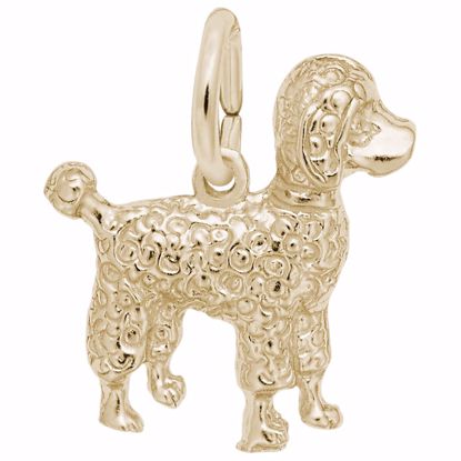 Picture of Poodle Charm Pendant - 14K Gold
