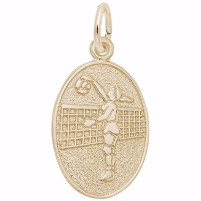 Picture of Female Volleyball Charm Pendant - 14K Gold