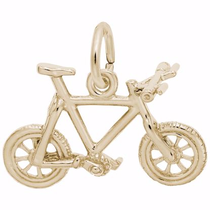 Picture of Mountain Bike Charm Pendant - 14K Gold