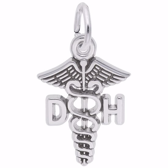 Picture of Dental Hygienist Charm Pendant - Sterling Silver