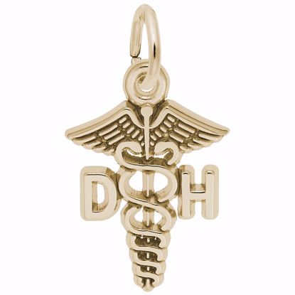 Picture of Dental Hygienist Charm Pendant - 14K Gold