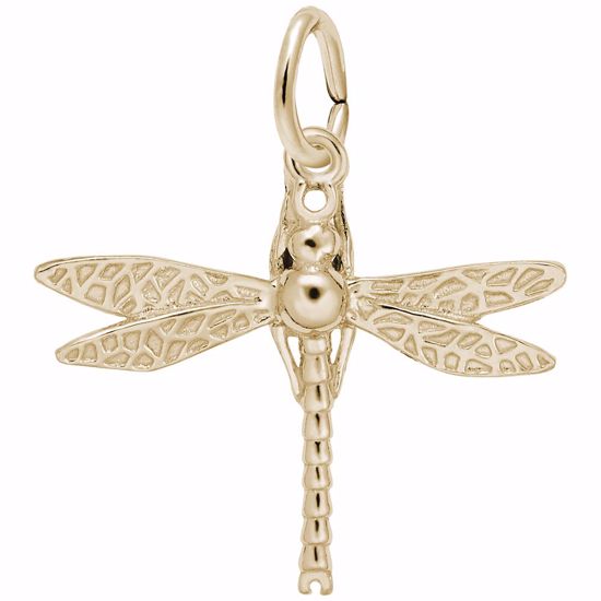 Picture of Dragonfly Charm Pendant - 14K Gold