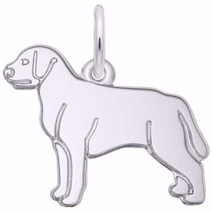 Picture of Labrador Retriever Charm Pendant - Sterling Silver