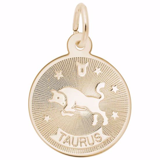Picture of Taurus Charm Pendant - 14K Gold