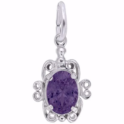 Picture of 02 Birthstone February Charm Pendant - Sterling Silver