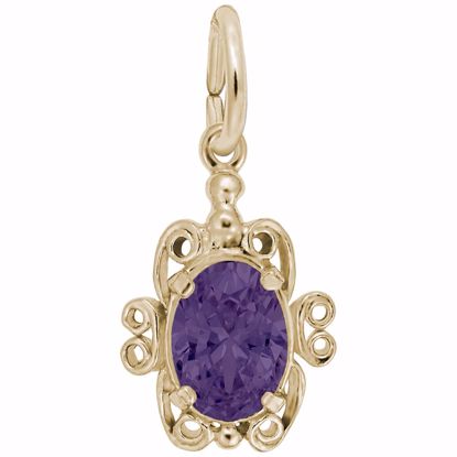 Picture of 02 Birthstone February Charm Pendant - 14K Gold
