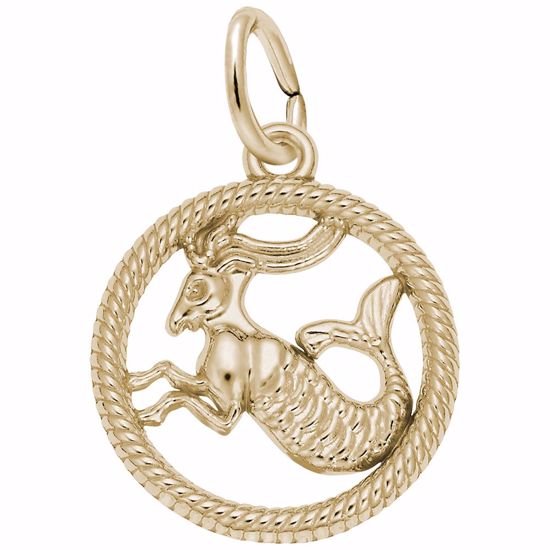 Picture of Capricorn Charm Pendant - 14K Gold