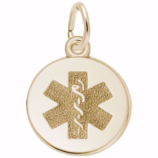 Picture of Medical Symbol Charm Pendant - 14K Gold