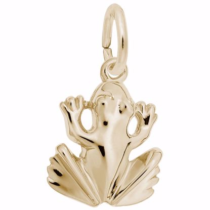 Picture of Frog Charm Pendant - 14K Gold