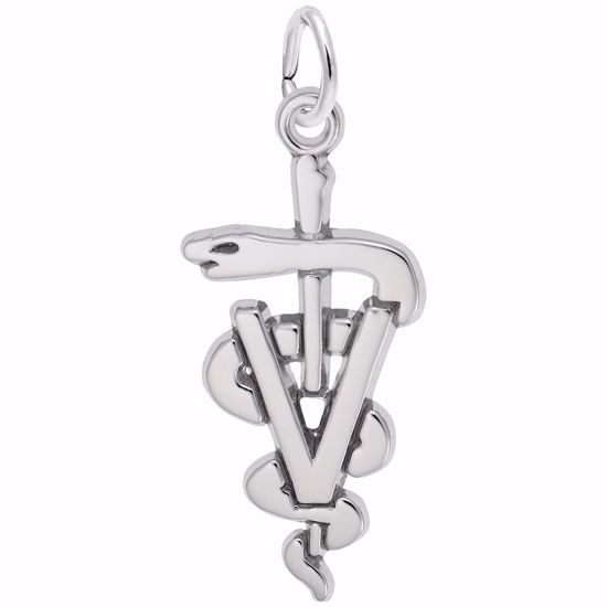 Picture of Veterinarian Charm Pendant - Sterling Silver