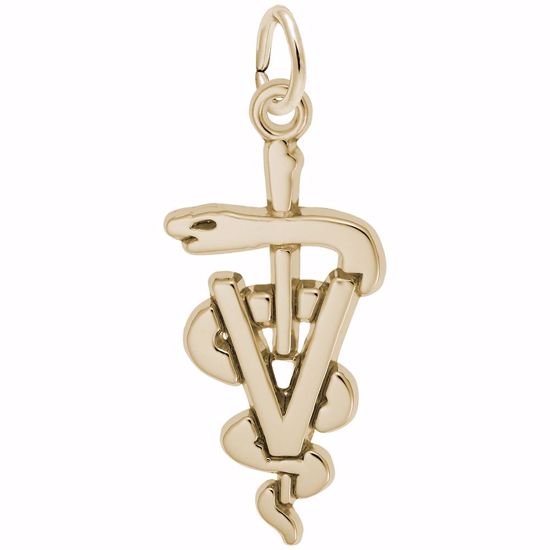 Picture of Veterinarian Charm Pendant - 14K Gold